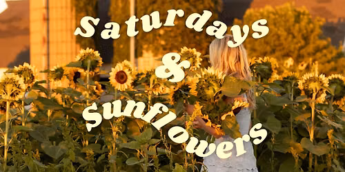 Saturdays & Sunflowers