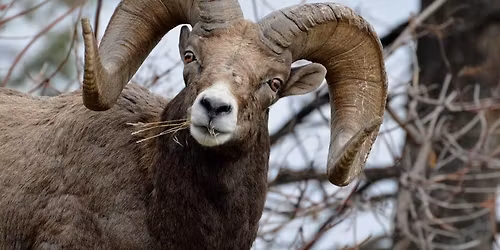 Oceola November General Membership meeting