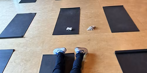PUPPY YOGA DETROIT
