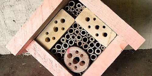 Build a Bee Hotel!