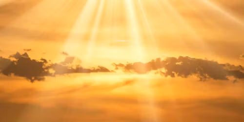 Solar Strength & Vitality Yoga Teacher Toolbox with Carole Westerman 