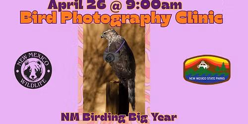Bird Photography Clinic