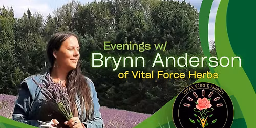 Perimenopause \/ Menopause Women's Group