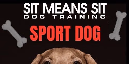 Sport Dog 6\/26 Barn Hunt