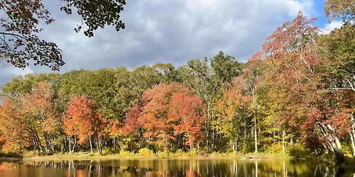 WCOC Clark Community Park orienteering event