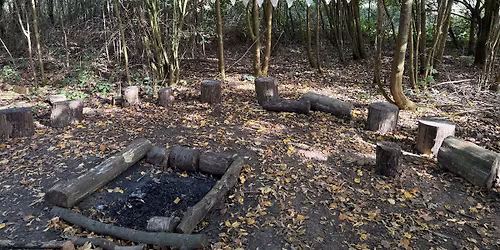 The Wild Hive - Winter Solstice