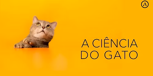 A Ci\u00eancia do Gato: Ciclo de semin\u00e1rios