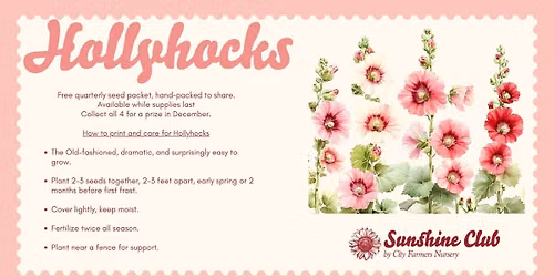 Free Sunshine Club Seeds | Hollyhocks (The Grand Finale!) (Oct 1 - Dec 20)