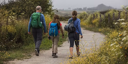 Coastal Walk at Cowell-Purisima Trail