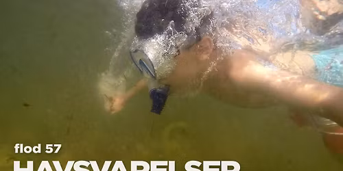 Flod 57: Havsvarelser \u2013 Filmvisning! 