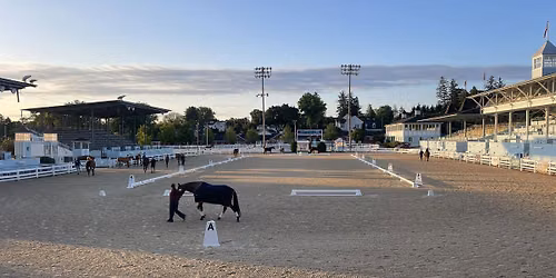 Dunmovin Dressage Days at Devon