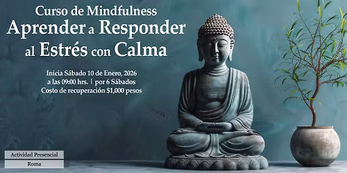 Curso de Mindfulness: Aprende a Responder al Estr\u00e9s con Calma
