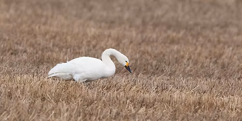 19.4. Perinteinen Pirkanmaan kierros