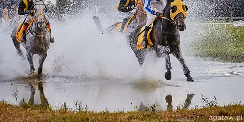 8 dzie\u0144 wy\u015bcigowy 2026 - Wielka Wroc\u0142awska