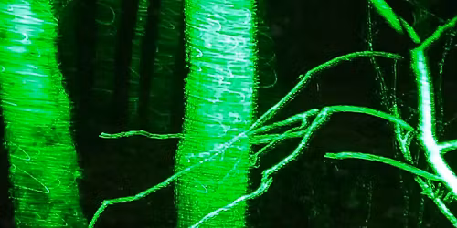 PETR & SHU P(\u2267\u2200\u2266)\u4ebaP(\u2267\u2200\u2266)S\u266a