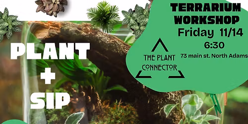 Terrarium Making Plant + Sip