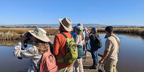 Coyote Hills Regional Park