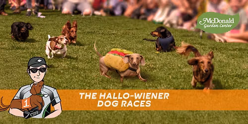 The Hallo-wiener Dog Races