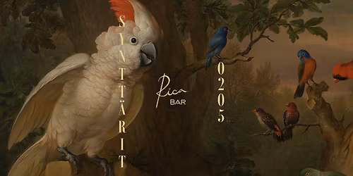 SYNTT\u00c4RIT | Rica Bar
