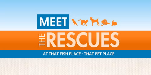 Meet the Rescues!