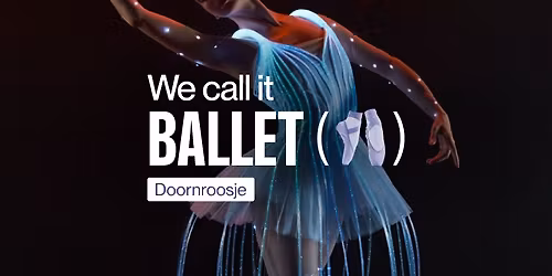 We call it Ballet: Doornroosje, een Dans- en Lichtshow! | The Hague