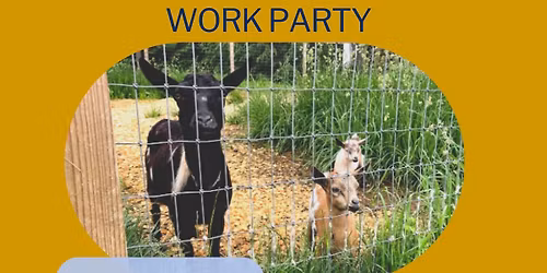 Evergreen Vista Community Garden Work Party