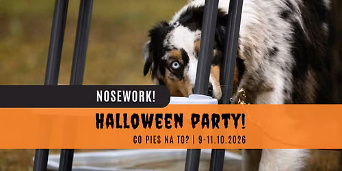 Nosework: Halloween Party w Co pies na to?