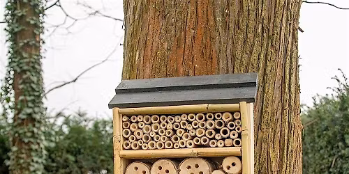 Family Volunteering Series: Build an Insect Hotel with Mini Changemakers