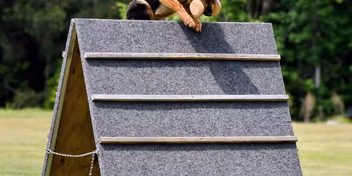 NBSC Winter IGP Trial