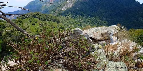 Hikemaniak Mathew Range Hike & Camp