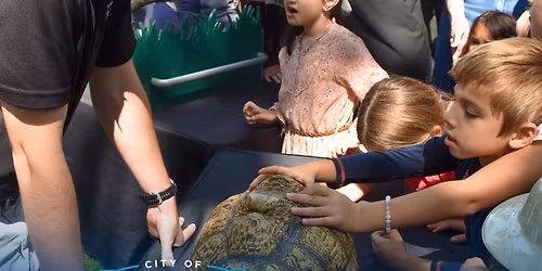 Bring the Zoo to You