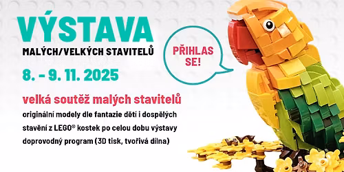 V\u00fdstava kostek mal\u00fdch\/velk\u00fdch stavitel\u016f
