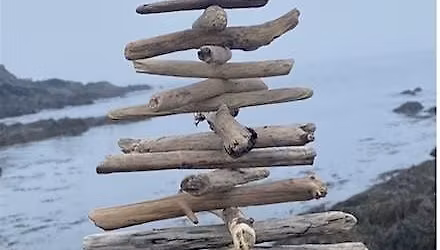 Driftwood Tree Workshop w\/ Nature Creations, Tammy Mullen