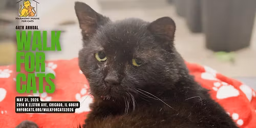 44th Annual Walk for Cats