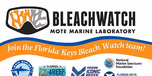 BleachWatch Training - Key Largo (Pennekamp)