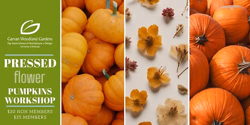 Pressed Flower Pumpkins Workshop 