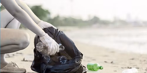 Citizen Science EcoAction Day Crandon Park