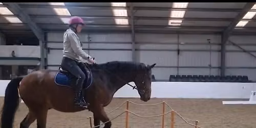 Cross training - Inhand or Ridden (\ud83d\udc9c FULLY BOOKED \ud83d\udc9c)