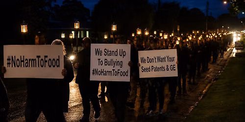 Light Rally - Auckland
