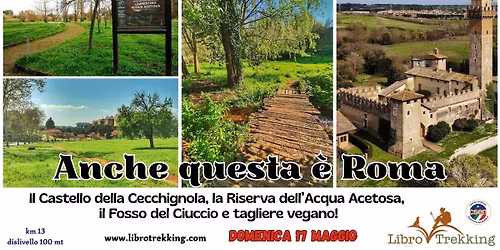 Anche questa \u00e8 Roma