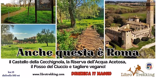 Anche questa \u00e8 Roma