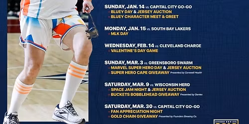 Cleveland Charge at Grand Rapids Gold at Van Andel Arena