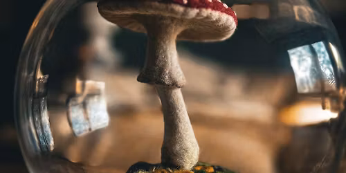 Amanita Mushroom Needle Felting Class