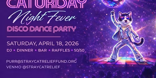 2026 Caturday Night Fever Disco \ud83e\udea9