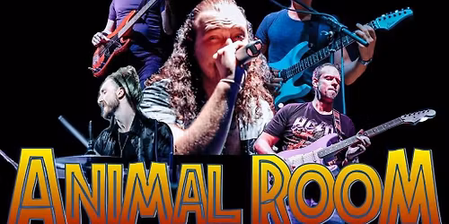 ANIMAL ROOM - SATURDAY NIGHT LIVE MUSIC
