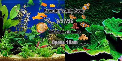 Milwaukee Aquarium Society Breeders Only Swap