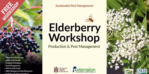 Elderberry Workshop: Production and Pest Management