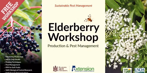 Elderberry Workshop: Production and Pest Management
