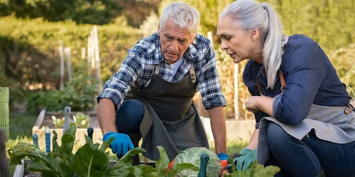 Healthy 55: How to Create Bonsai Plants for 55+