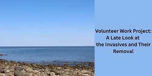 Volunteer Work Project: A Late Look at  the Invasives and Their Removal